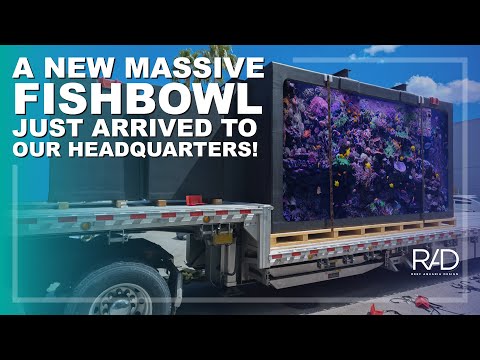 Видео: ВЕЛИЧЕСТВЕННЫЙ ГИГАНТСКИЙ АКВАРИУМ, ДОСТАВЛЕННЫЙ ИЗ КАЛИФОРНИИ В НАШУ ШТАБ-КВАРТИРУ RAD ВО ФЛОРИДЕ.