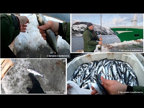 Видео: Горводоканал В деле.  Камбалет. В Эпицентре урагана. Рыбалка на море.