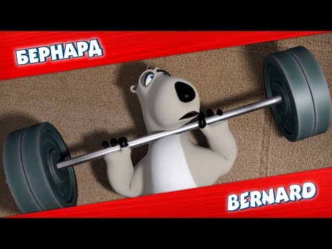 Видео: БЕРНАРД: Спортзал и многое другое | Подборка серий