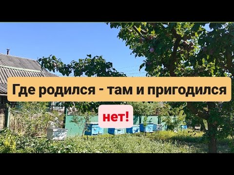 Видео: Почему это неправда. Сегодня уезжаем из Молдовы