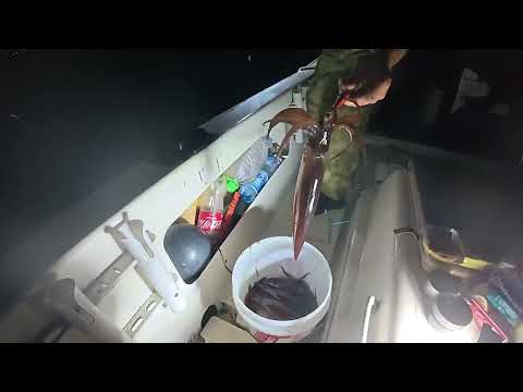 Видео: Рыбалка на кальмара во Владивостоке
