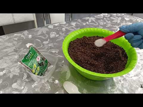 Видео: Готовлю грунт для посева перца.27 января 2022г