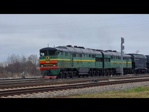 Видео: 2ТЭ116-584 Уезжает в сторону Елгавы.