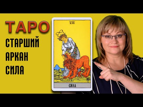 Видео: СИЛА  | Значения Старших арканов ТАРО | ТАРО для начинающих