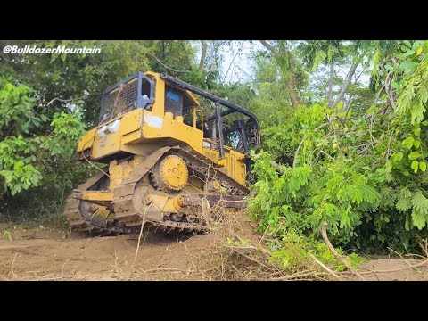 Видео: потрясающий!! Кошка D6R XL Boonzer очищает сорняки и идеально выравнивает землю