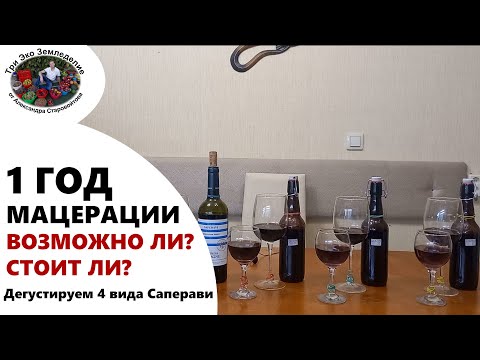 Видео: 1 год мацерации. Годовая выдержка на мезге. Сравниваем 4 вида Саперави #ТриЭкоВиноделие