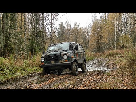 Видео: Металла немного, ну хоть Лунтика выгулял #378