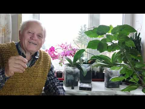 Видео: Как полностью избавиться от всех вредителей в саду. Добрый Врач поможет.