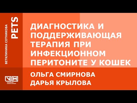 Видео: Диагностика и поддерживающая терапия при инфекционном перитоните у кошек FIP