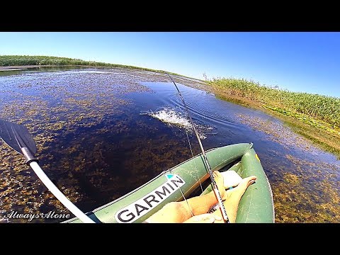 Видео: Рыбалка на щуку и окуня. Та самая разведка по щучьим местам. Вело-водный поход.