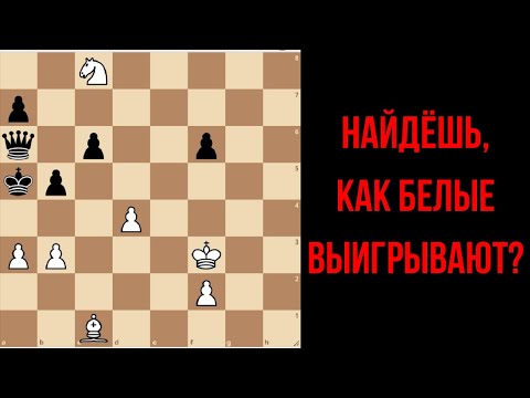 Видео: Даже компьютер не верит в победу белых! Как выиграть в шахматах без ферзя