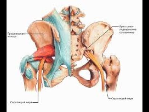 Видео: КРЕСТЦОВОЕ СПЛЕТЕНИЕ (короткие ветви)