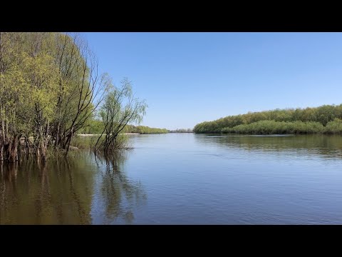 Видео: 304. Місце злиття р.Стрижень і р.Десна 19.04.2025