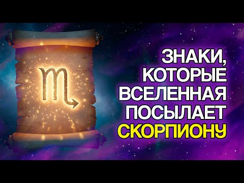 Видео: СКОРПИОН: 11 Явных Знаков, Что ВСЕЛЕННАЯ Направляет Ваш Путь