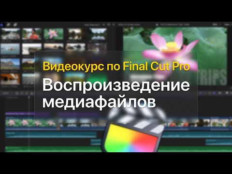 Видео: ⏯ Воспроизведение медиафайлов — курс уроков по Final Cut Pro