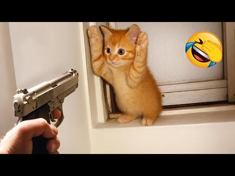 Видео: Попробуй Не Засмеяться 😂 Самые Смешные Животные 😹🐶 Часть 17