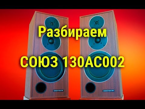 Видео: Разбираем акустику  СОЮЗ 130 АС 002