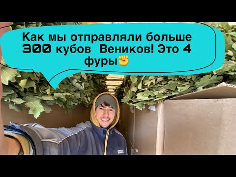 Видео: Бизнес на заготовке Веников| сколько отправил Веников за сезон| больше 300 кубов Веников