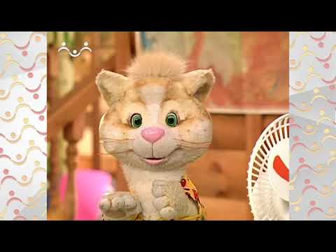 Видео: Шишкин Лес.  Совинформ.  Откуда дует ветер