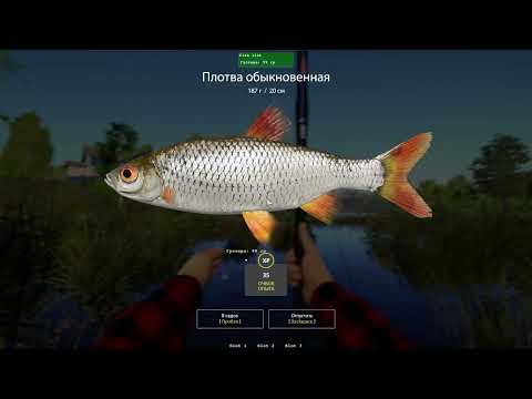 Видео: Чит 2025 Русская Рыбалка 4 ESP / Cheat 2025 Russian Fushing 4 ESP