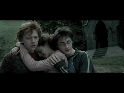 Видео: "Визитная карточка", Гриффиндор