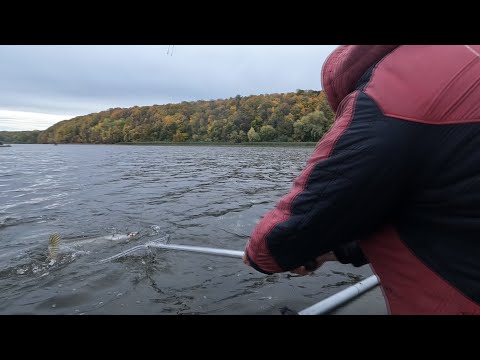 Видео: Рыбалка на Щуку в октябре. Ловим на Мандулу