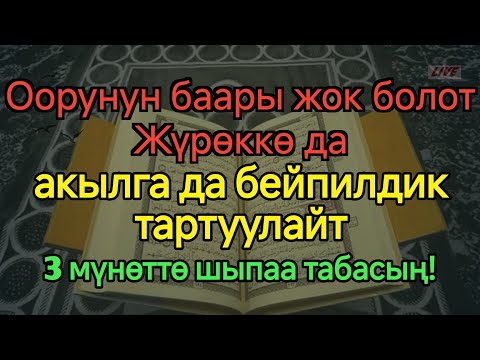 Видео: Ооруну унут! Пайгамбардын дубасы сени айыктырат! 💫