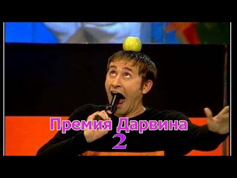 Видео: Премия Дарвина 2