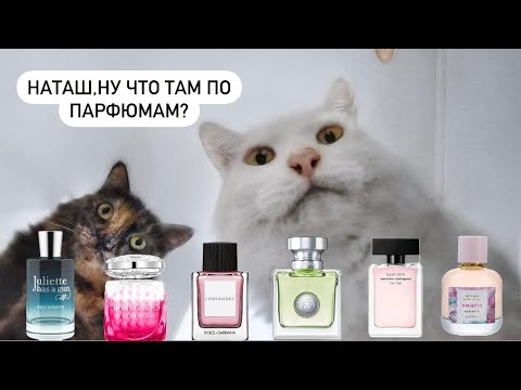 Видео: От бюджета до ниши🔥🔥🔥Новые классные ароматы❤️‍🔥 все, что я люблю😍