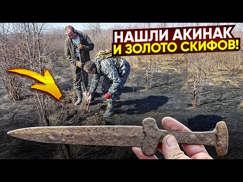Видео: Откопали древний меч в корнях и Золото Скифов!