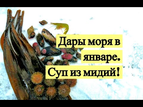 Видео: Дары моря в январе. Суп из мидий!