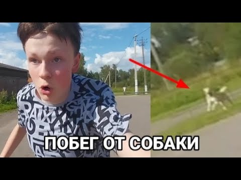 Видео: ЛЮТЫЙ ПОБЕГ ОТ СОБАКИ | Я ЕЛЕ УБЕЖАЛ ОТ НЕЁ
