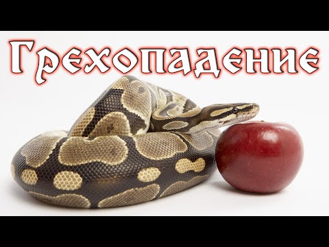 Видео: Урок 2 Грехопадение | Нашей земли.