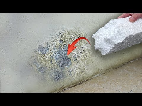 Видео: Эксперт по гидроизоляции делится! Лучшее решение для восстановления облупившихся стен