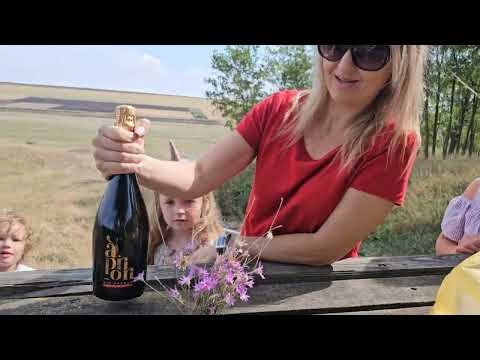 Видео: Твардица, Молдова ❤️