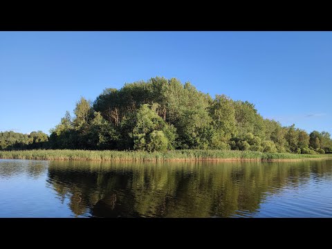 Видео: Рыбалка на Спиннинг летом! Как меняется КЛЁВ РЫБЫ при смене погоды!
