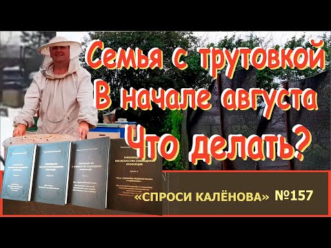 Видео: Трутовка в Конце Июля-Начале Августа - Что Делать? "Спроси Калёнова" №157.