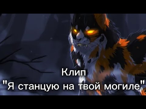 Видео: Коты-воители/Кленовница/Клип/"Я станцую на твоей могиле"