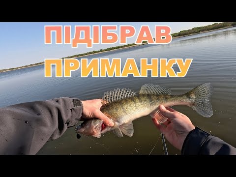 Видео: ПІДІБРАВ ПРИМАНКУ ТА ПІШЛА ЖАРА!!! ЛОВЛЯ СУДАКА НА СПІНІНГ