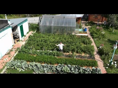 Видео: Умный огород за 1 сезон