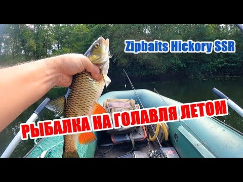 Видео: ГРОЗА ГОЛАВЛЕЙ!  ZIPBAITS HICKORY SSR СНОВА В ЛИДЕРАХ!