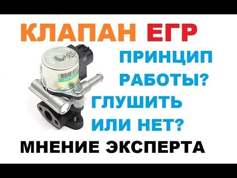 Видео: Клапан ЕГР! Принцип работы. Глушить или нет?!