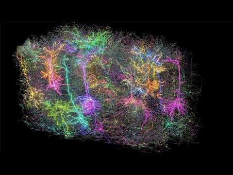 Видео: Безумная теория сознания всё объясняет! Теперь понятно что это такое