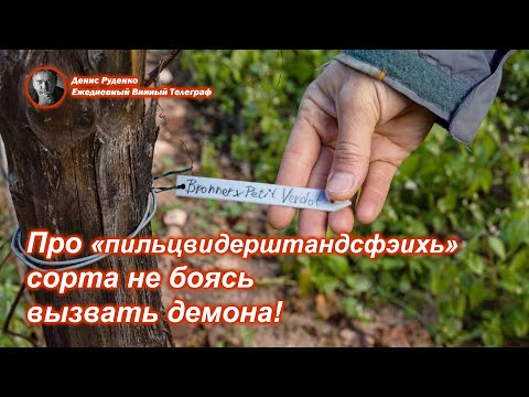 Видео: Про «пильцвидерштандсфэихь» сорта не боясь вызвать демона!