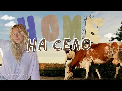 Видео: ОТНОВО У ДОМА | Сега накъде?