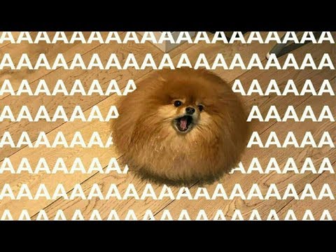 Видео: ОШИБКИ при восстановлении от РПП [2]