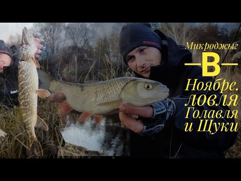 Видео: Экстремальная рыбалка на Спиннинг!!! Ловля Голавля и Щуки в Ноябре.