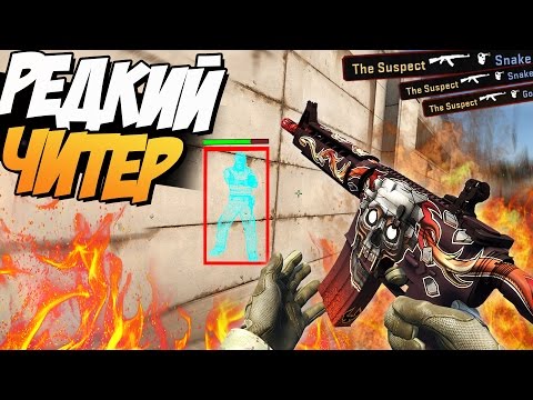 Видео: ОЧЕНЬ РЕДКИЙ ЧИТЕР! (ПАТРУЛЬ В CS:GO #61)