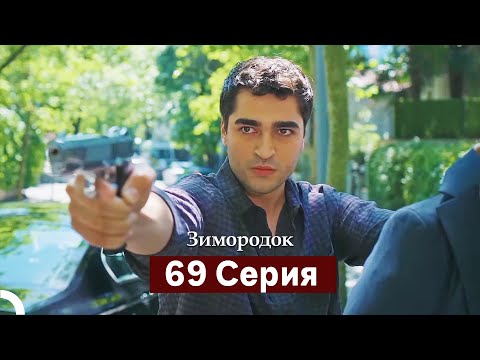 Видео: Зимородок 69 Cерия (Русский дубляж)