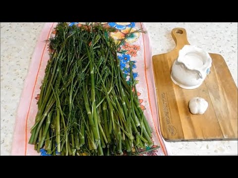 Видео: Не выкидывайте стебли укропа! Вот, что из них можно приготовить!
